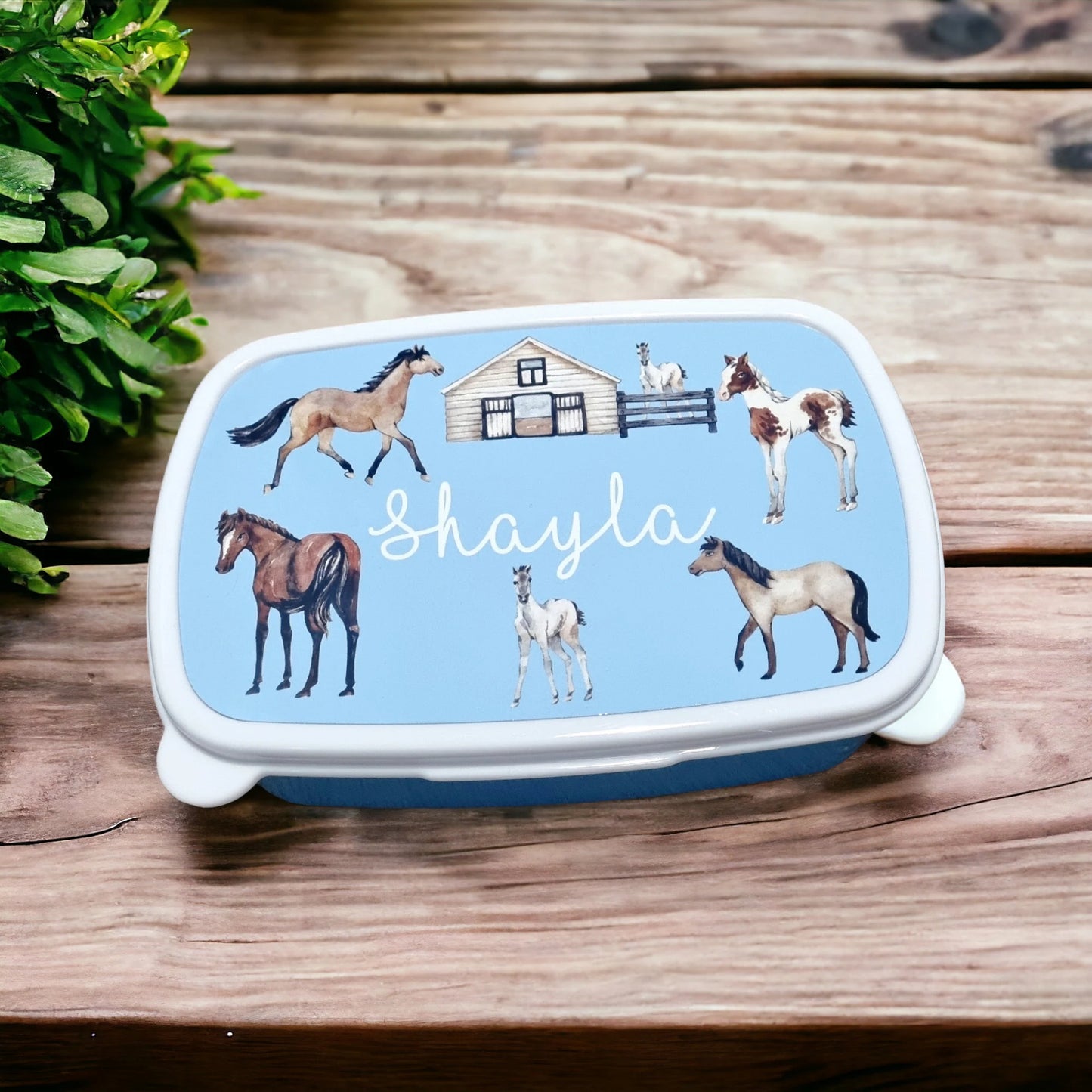 Horse snack box, girls lunch box, Horse birthday gifts, back to school, birthday gift for daughter, equestrian gifts