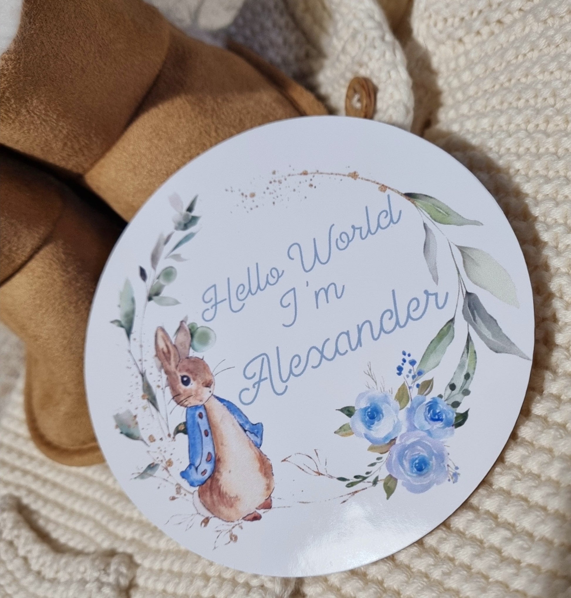 Baby name announcement sign, Hello world disc, Peter Rabbit pregnancy reveal, new born photo props