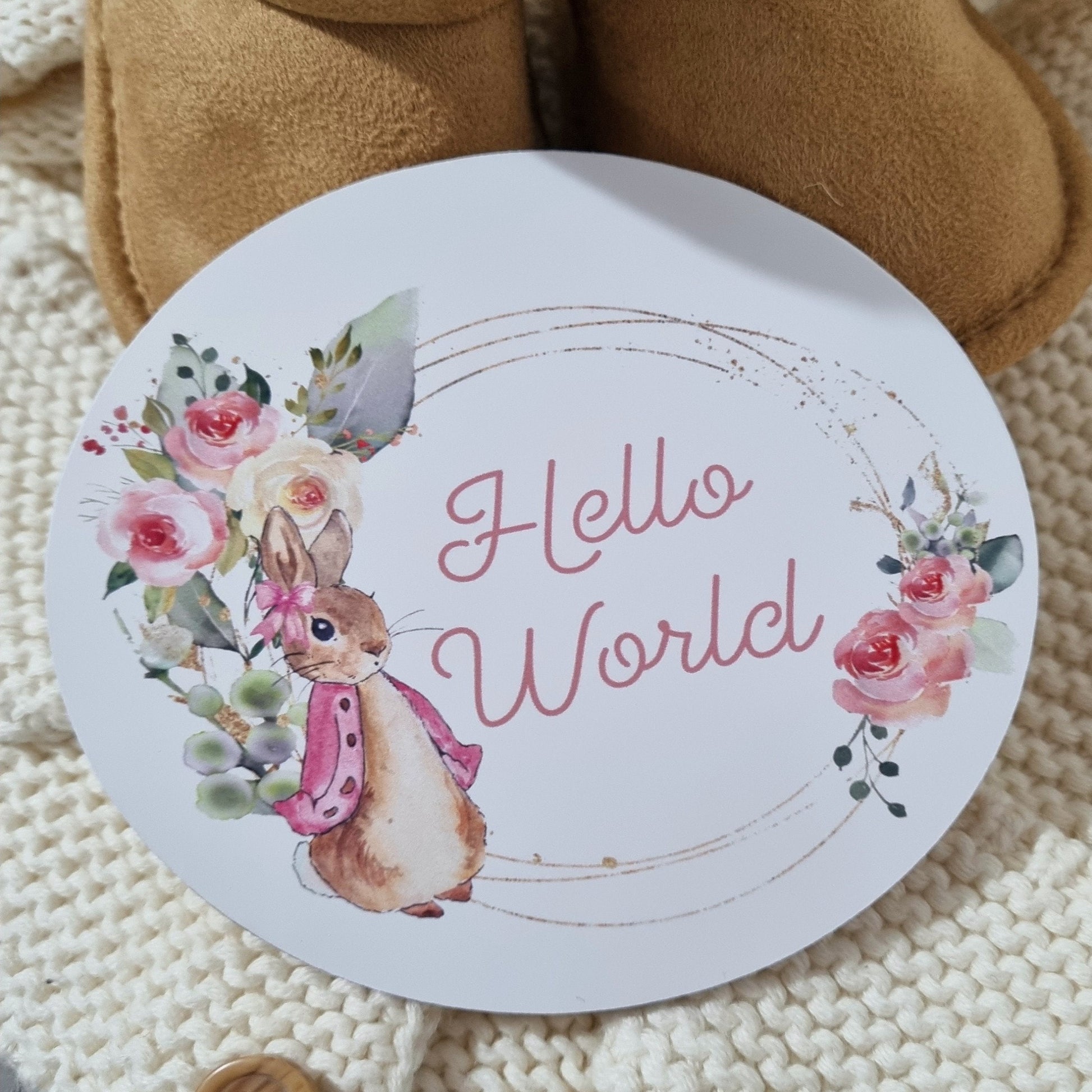 Baby name announcement sign, Hello world disc, Peter Rabbit pregnancy reveal, new born photo props