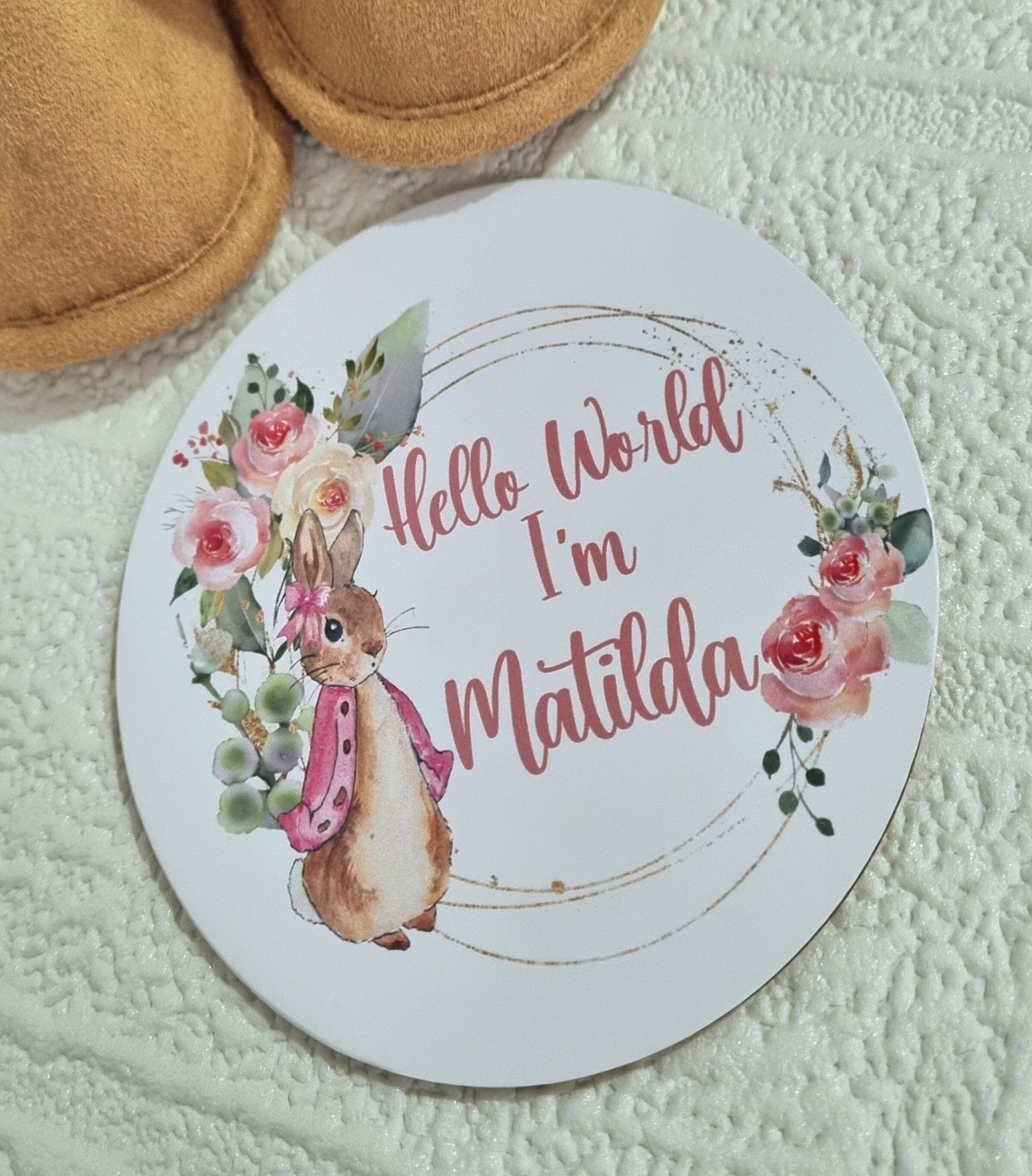 Baby name announcement sign, Hello world disc, Peter Rabbit pregnancy reveal, new born photo props