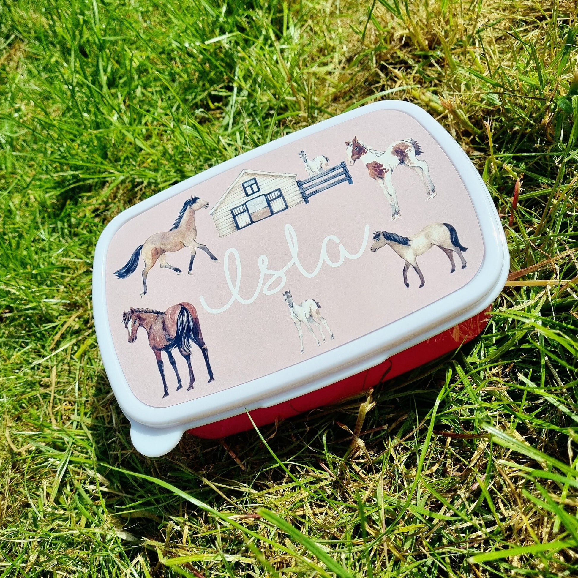 Horse snack box, girls lunch box, Horse birthday gifts, back to school, birthday gift for daughter, equestrian gifts